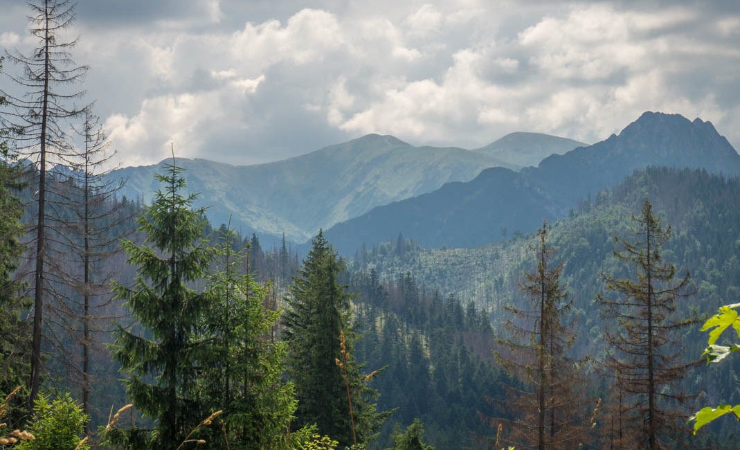 Zakopane: tydzień z dziećmi. Informacje praktyczne